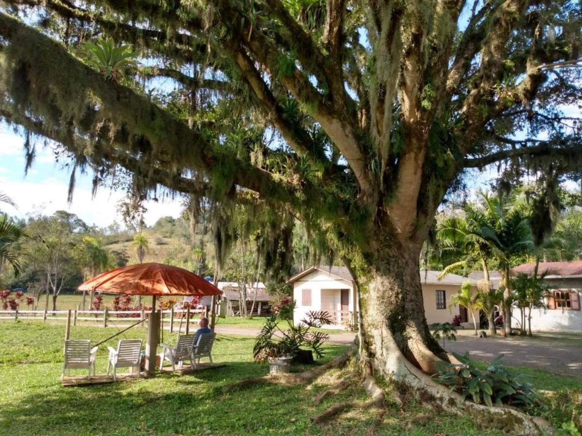 Sitio Vo Inacio - Casa Inteira Hotel ตอร์เฮส ภายนอก รูปภาพ